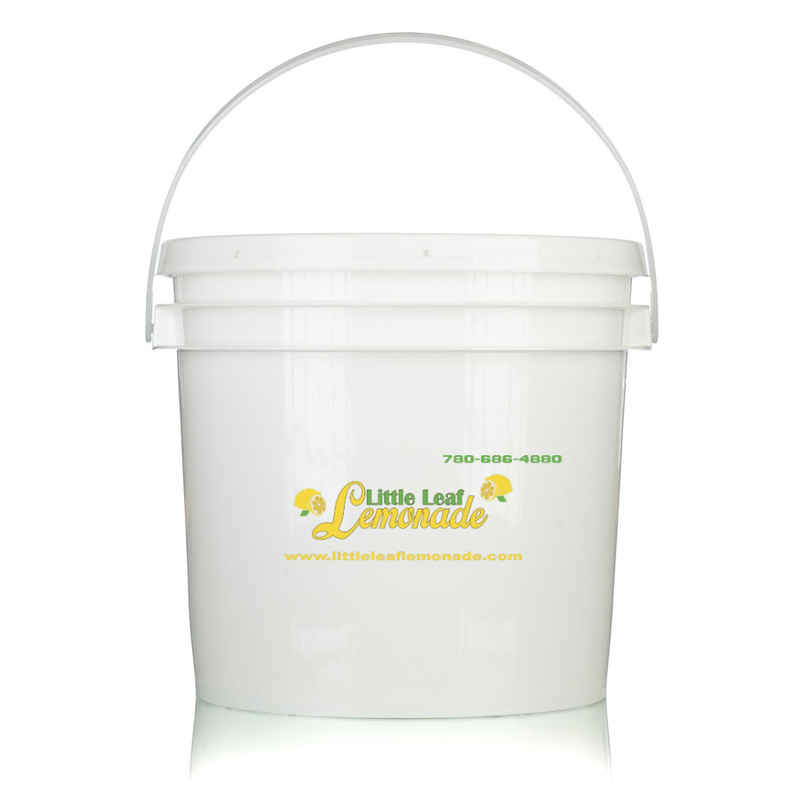 Little Leaf Lemonade's Farm Fresh Pure Canadian Honey 10lb | LittleLeafLemonade.com