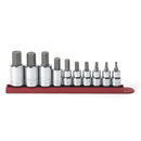 GearWrench Set Socket Hex Bit Sae 3/8 & 1/2DR 10Pc - GWR-80579 | GarageAndFab.com
