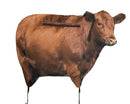 MONTANA DECOY Big Red Moo Cow (6) - 0051 | MunroOutdoorAdventures.com