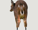 MONTANA DECOY Deer Rump (6) - 0069 | MunroOutdoorAdventures.com