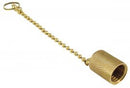 CPS 1/2" Acme Brass Cap W/Chain Tether 2 Pk - CPS-AVC134C