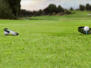 Garmin Approach® G80 Model
