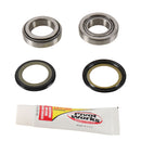 PIVOT WORKS STEERING STEM BEARING KIT (PWSSK-K09-000)