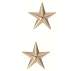 Rothco Brigadier General Insignia Stars