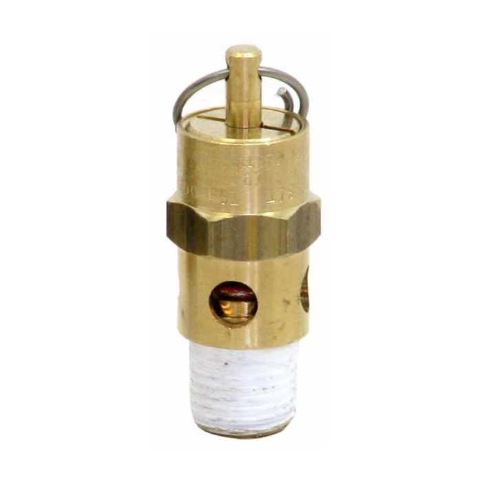 New Line 1/4" 200 PSI Safety Relief Valve Model
