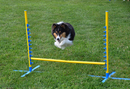 Munro Kennels Pedestal Jump Sets MK-00036