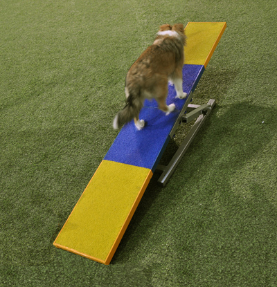 Teeter Rig Handler Choice Puppy Training Teeter, 6ft with Frame