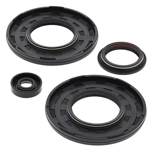 VERTEX ENGINE OIL SEAL KIT (55206)