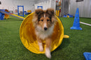 Munro Kennels Puppy Tunnel - 16"D x 78" Yellow PVC MK-30138