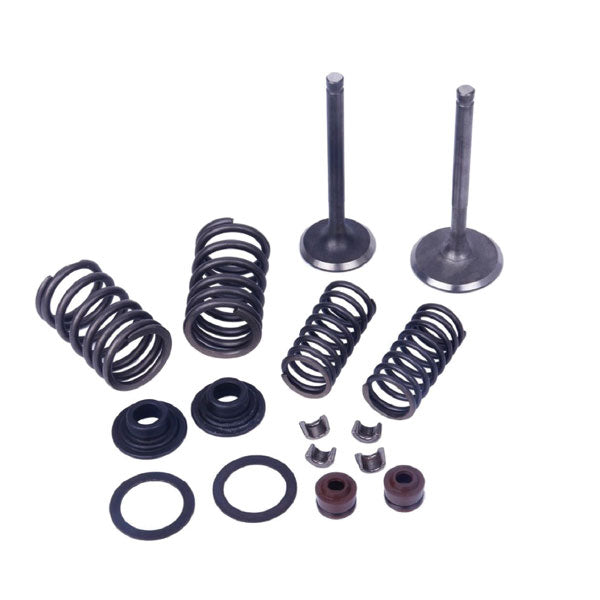 MOGO PARTS VALVE KIT (61-0200)