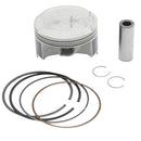 VERTEX PISTON KIT (24488050)