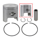 SPX SNOWMOBILE PISTON (09-699-01N)