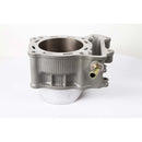 CYLINDER WORKS ATV/UTV STANDARD BORE CYLINDER (40001)