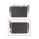 BRONCO ATV/UTV RADIATOR (AC-10019)