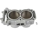 CYLINDER WORKS ATV/UTV STANDARD BORE CYLINDER (60001)