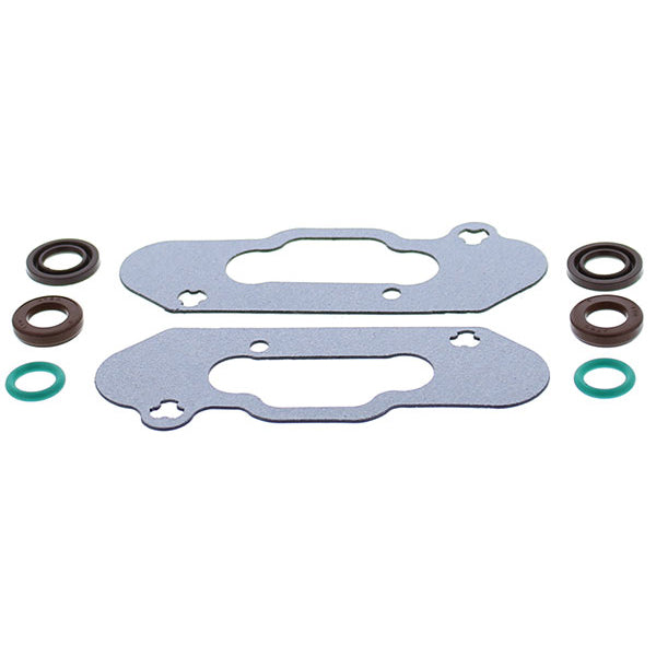 VERTEX POWER VALVE GASKET SET (719206)