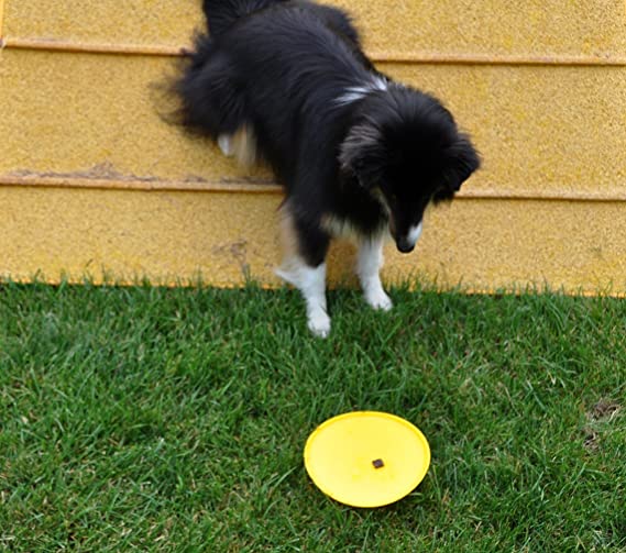 Cool Runners Set of 3 Silicone Rubber 7" Dog Training Targets/Frisbees