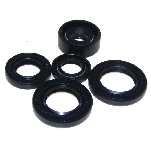 OIL SEAL KIT (02-1000)
