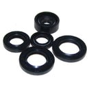 OIL SEAL KIT (02-1000)