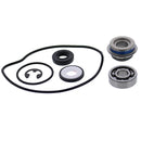 VERTEX WATER PUMP REBUILD KIT (721323)