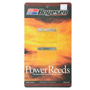 BOYESEN SNOWMOBILE POWER REED (6113)