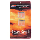 BOYESEN SNOWMOBILE POWER REED (6123)