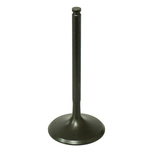 PSYCHIC INTAKE VALVE R/T (XU-09554I)