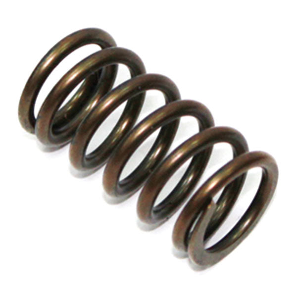 PSYCHIC EXST/INTK VALVE SPRING (XU-09521S)