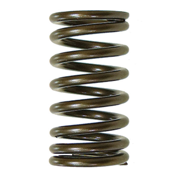 PSYCHIC EXHAUST VALVE SPRING (XU-09541ES)