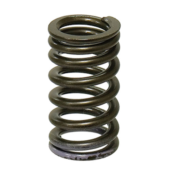 PSYCHIC EXHAUST VALVE SPRING (XU-09553ES)