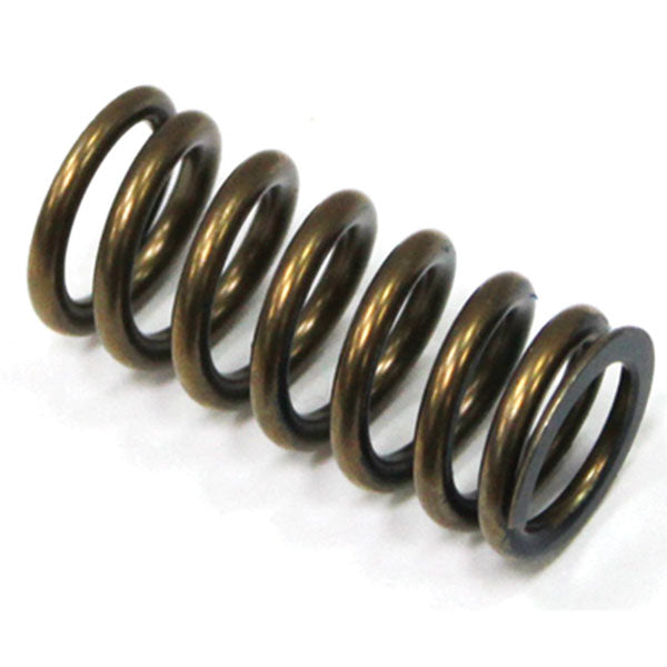 PSYCHIC INTAKE VALVE SPRING (XU-09519IS)