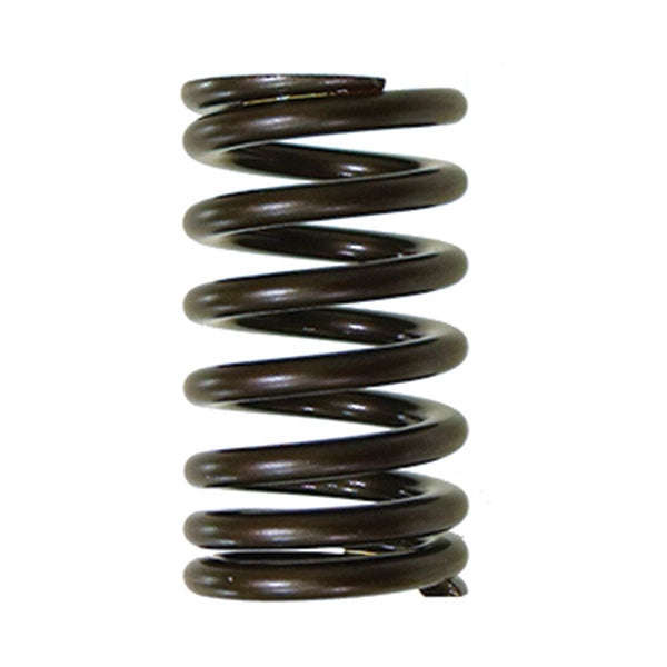 PSYCHIC INTAKE VALVE SPRING (XU-09541IS)