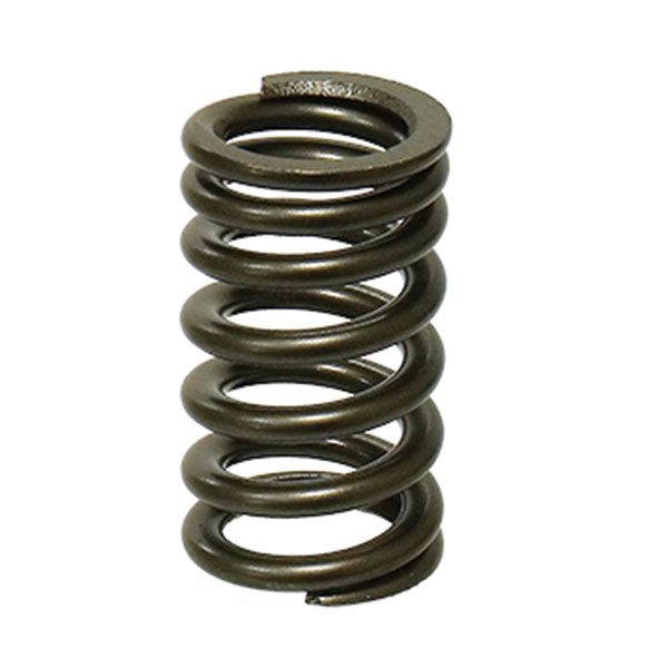 PSYCHIC INTAKE VALVE SPRING (XU-09553IS)