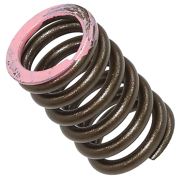 PSYCHIC INTAKE VALVE SPRING (XU-09565IS)