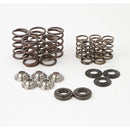 HOTCAMS VALVE SPRING KIT (SKYFM660S2)