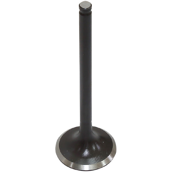 PSYCHIC EXHAUST VALVE R/T (XU-09564E)