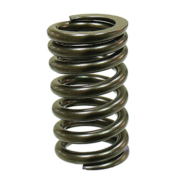 PSYCHIC EXST/INTK VALVE SPRING (XU-09544S)