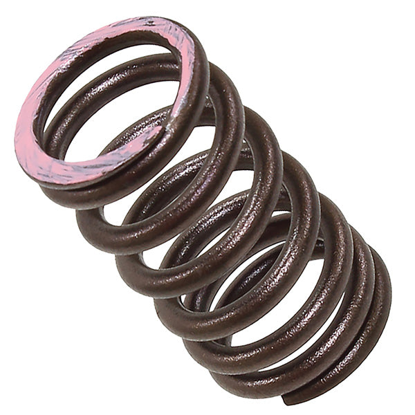 PSYCHIC EXHAUST VALVE SPRING (XU-09564ES)