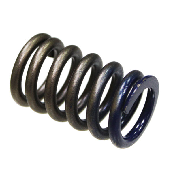 PSYCHIC INTAKE VALVE SPRING (XU-09502IS)