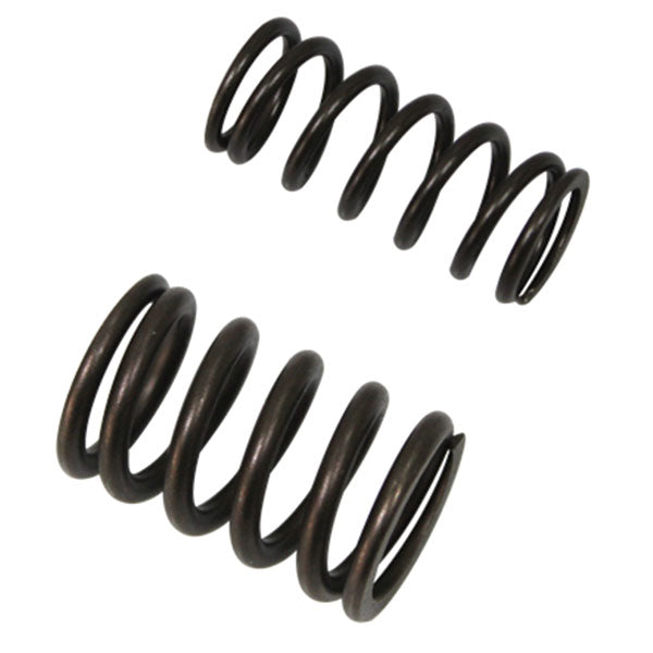 PSYCHIC INTAKE VALVE SPRING SET (XU-09503IS)