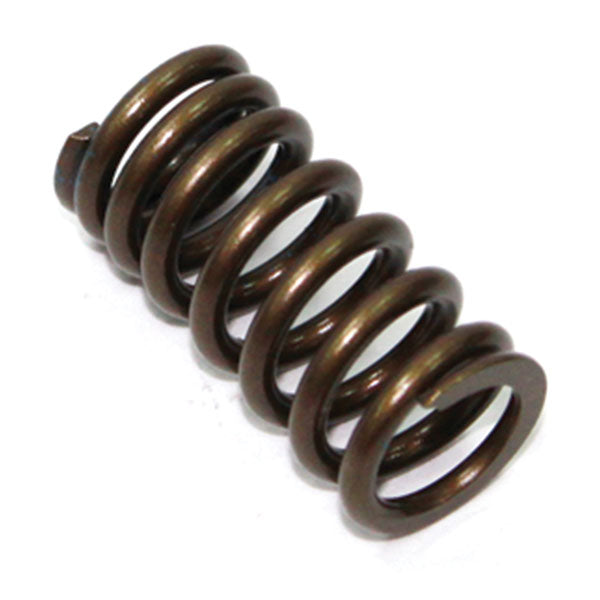 PSYCHIC INTAKE VALVE SPRING (XU-09526IS)