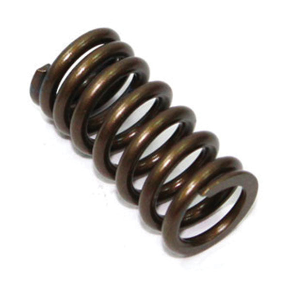 PSYCHIC INTAKE VALVE SPRING (XU-09532IS)