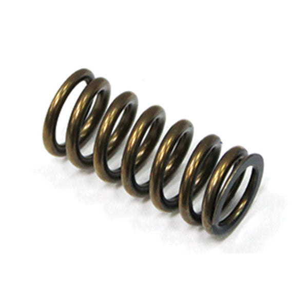 PSYCHIC INTAKE VALVE SPRING (XU-09533IS)