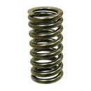 PSYCHIC INTAKE VALVE SPRING (XU-09545IS)