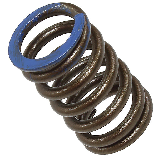 PSYCHIC INTAKE VALVE SPRING (XU-09564IS)