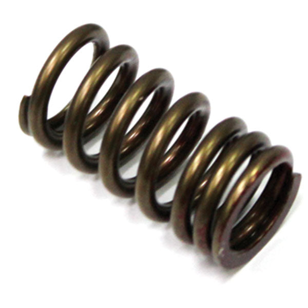 PSYCHIC VALVE SPRING (XU-09509ES)