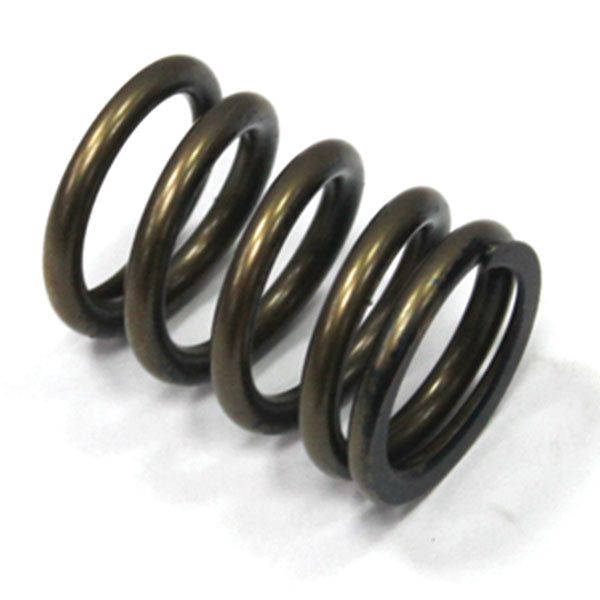 PSYCHIC INTAKE VALVE SPRING (XU-09527IS)