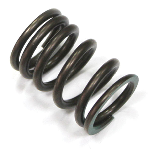 PSYCHIC INTAKE VALVE SPRING (XU-09536IS)