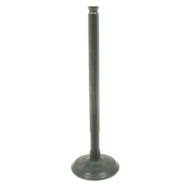 BRONCO ATV/UTV VALVE EXHAUST (AU-09209E)