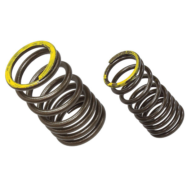 PSYCHIC EXHAUST VALVE SPRING (XU-09563ES)